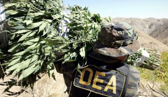 DEA